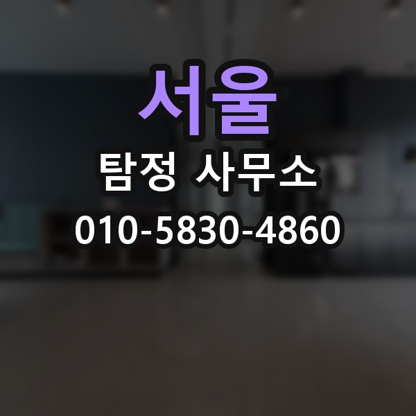 서울 탐정 사무소 비교할 때 유용한 기준