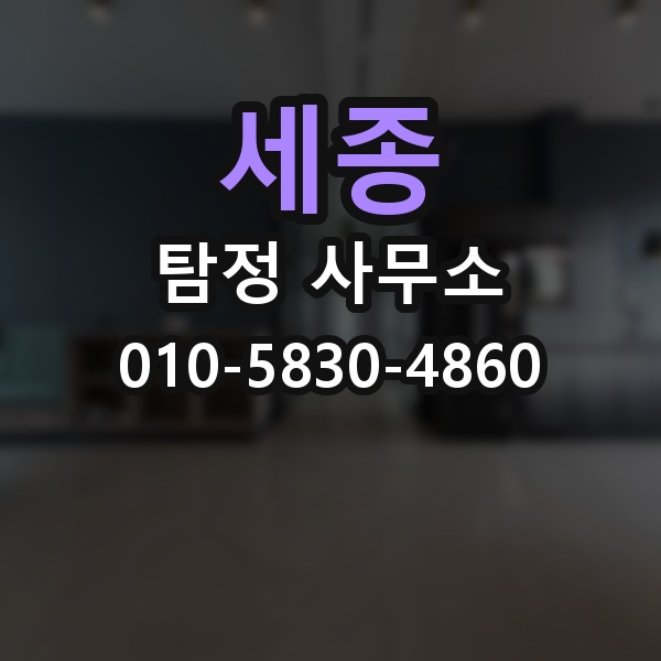 세종 탐정 사무소 서비스 범위와 한계 알아보기